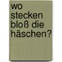 Wo stecken bloß die Häschen?