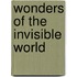 Wonders of the Invisible World