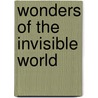 Wonders of the Invisible World door Patricia A. McKillip