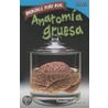Anatomia Gruesa = Gross Anatomy by Timothy J. Bradley