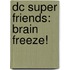 Dc Super Friends: Brain Freeze!