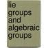 Lie Groups and Algebraic Groups