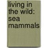 Living in the Wild: Sea Mammals