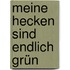 Meine Hecken sind endlich grün