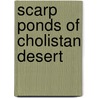 Scarp Ponds Of Cholistan Desert door Anwar Hussain Gill