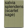 Salvia splendens (Scarlet Sage) door Posa Mahesh Kumar