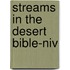 Streams In The Desert Bible-niv