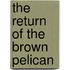 The Return of the Brown Pelican