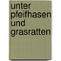 Unter Pfeifhasen und Grasratten