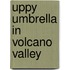 Uppy Umbrella in Volcano Valley