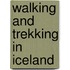 Walking and Trekking in Iceland