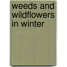 Weeds and Wildflowers in Winter door Lauren Brown