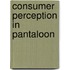 Consumer Perception in Pantaloon