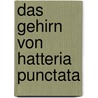 Das Gehirn von Hatteria punctata by Gisi