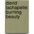 David LaChapelle: Burning Beauty