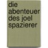 Die Abenteuer des Joel Spazierer