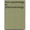 From Psychology to Phenomenology door Biagio G. Tassone