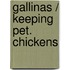 Gallinas / Keeping Pet. Chickens