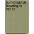 Hummingbirds: Hovering In Nature