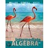 Intermediate Algebra (Hardcover)