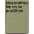 Kooperatives Lernen im Praktikum