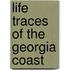 Life Traces of the Georgia Coast