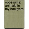 Opossums: Animals In My Backyard door Jordan McGill