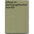 Pflege Im Demographischen Wandel