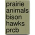 Prairie Animals Bison Hawks Prcb