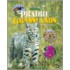 Prairie Grasslands Our Wild Wocb