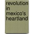 Revolution In Mexico's Heartland