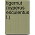 Tigernut (cyperus Esculentus L.)
