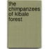The Chimpanzees Of Kibale Forest