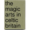 The Magic Arts in Celtic Britain door Lewis Spence