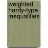 Weighted Hardy-Type Inequalities door Kamilu Rauf