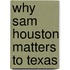 Why Sam Houston Matters to Texas