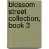 Blossom Street Collection, Book 3