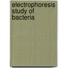 Electrophoresis Study Of Bacteria door Poh Foong Lee