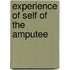 Experience Of Self Of The Amputee