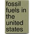 Fossil Fuels in the United States