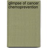 Glimpse Of Cancer Chemoprevention by S.M. Zahid Hosen