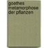 Goethes Metamorphose Der Pflanzen