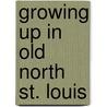 Growing Up in Old North St. Louis by Patrick J. Kleaver