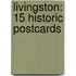Livingston: 15 Historic Postcards