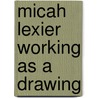 Micah Lexier Working As a Drawing door Micah Lexier