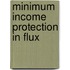 Minimum Income Protection in Flux