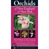 Orchids of New England & New York by Tom Nelson