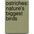 Ostriches: Nature's Biggest Birds