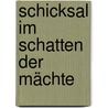 Schicksal im Schatten der Mächte by Jürgen Meyer