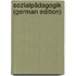 Sozialpädagogik (German Edition)
